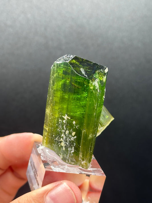 Forest-green elbaite tourmaline crystal from the Paprok Mine, Nuristan, Afghanistan
