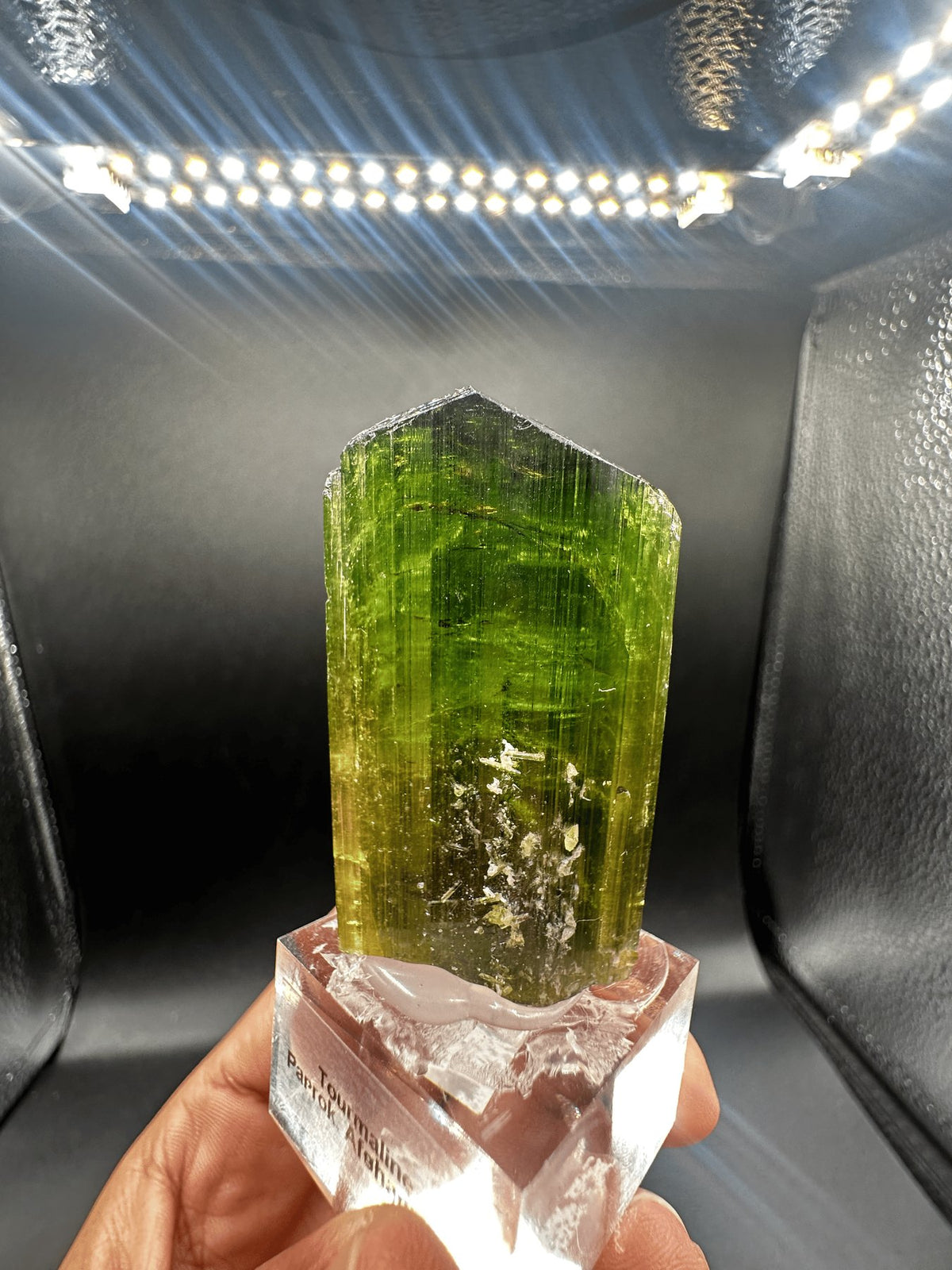 Forest-green elbaite tourmaline crystal from the Paprok Mine, Nuristan, Afghanistan, view 10
