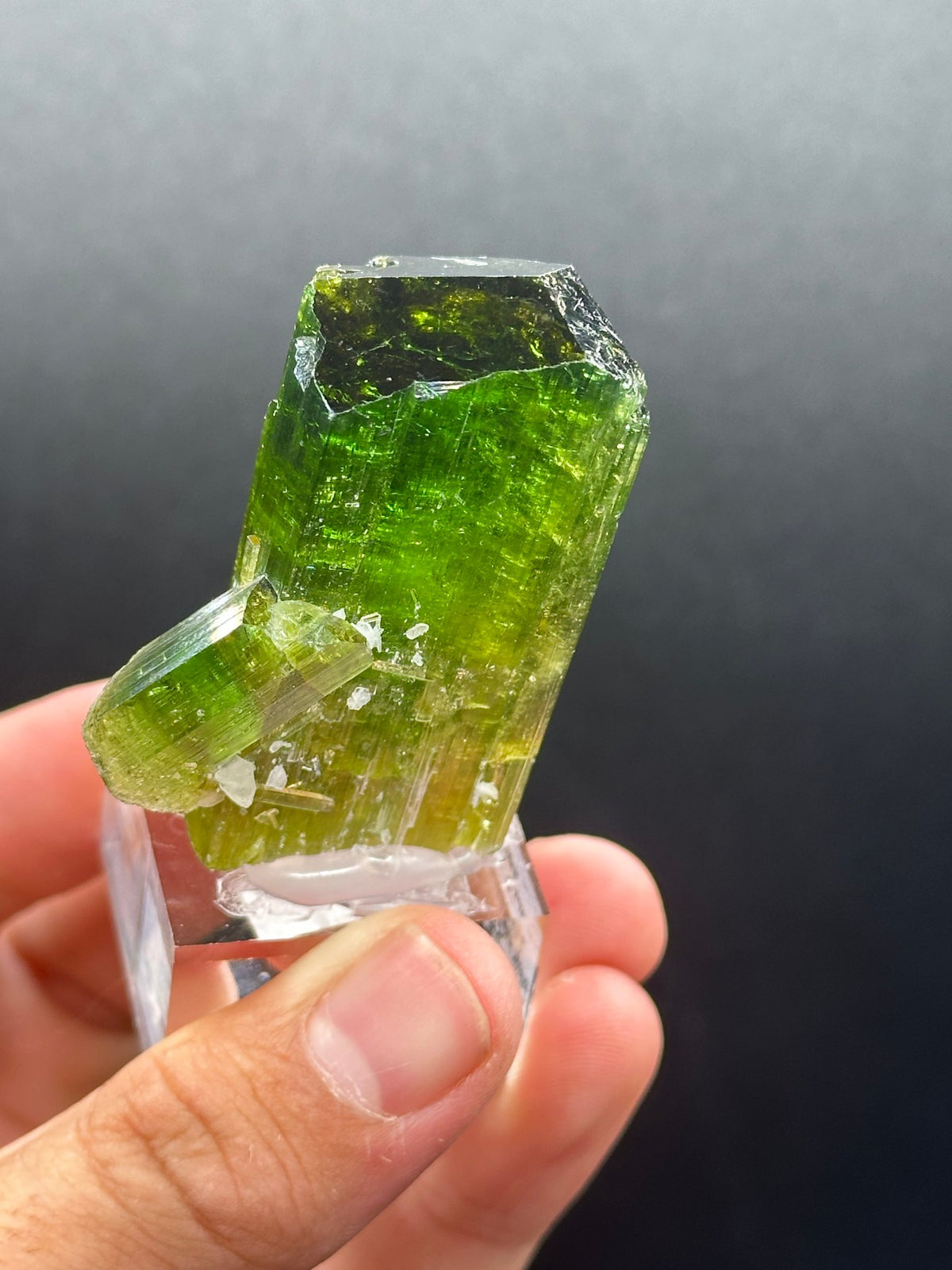 Forest-green elbaite tourmaline crystal from the Paprok Mine, Nuristan, Afghanistan, reverse side