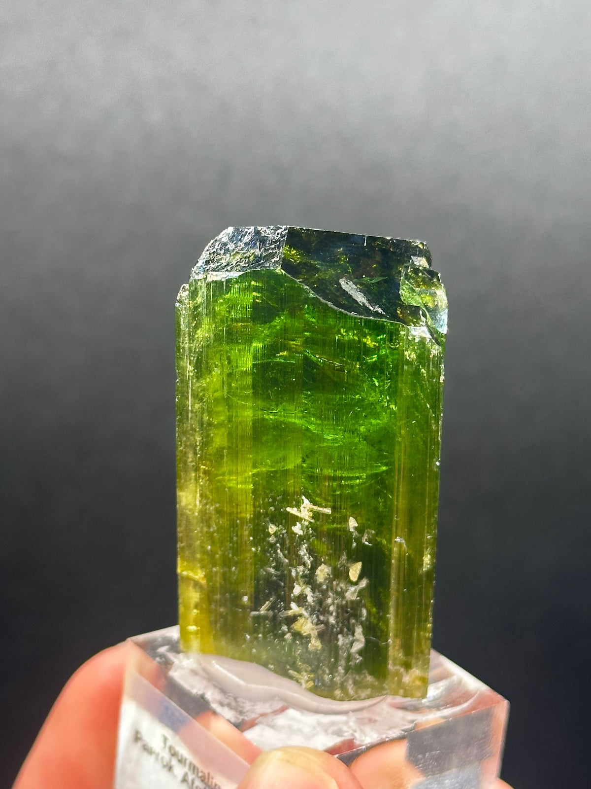 Forest-green elbaite tourmaline crystal from the Paprok Mine, Nuristan, Afghanistan, angled view