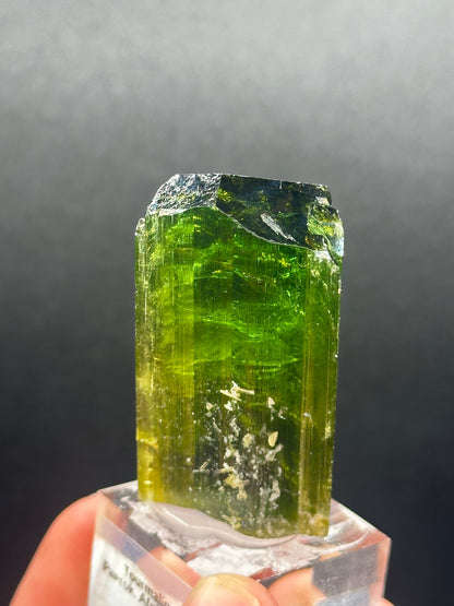 Forest-green elbaite tourmaline crystal from the Paprok Mine, Nuristan, Afghanistan, angled view