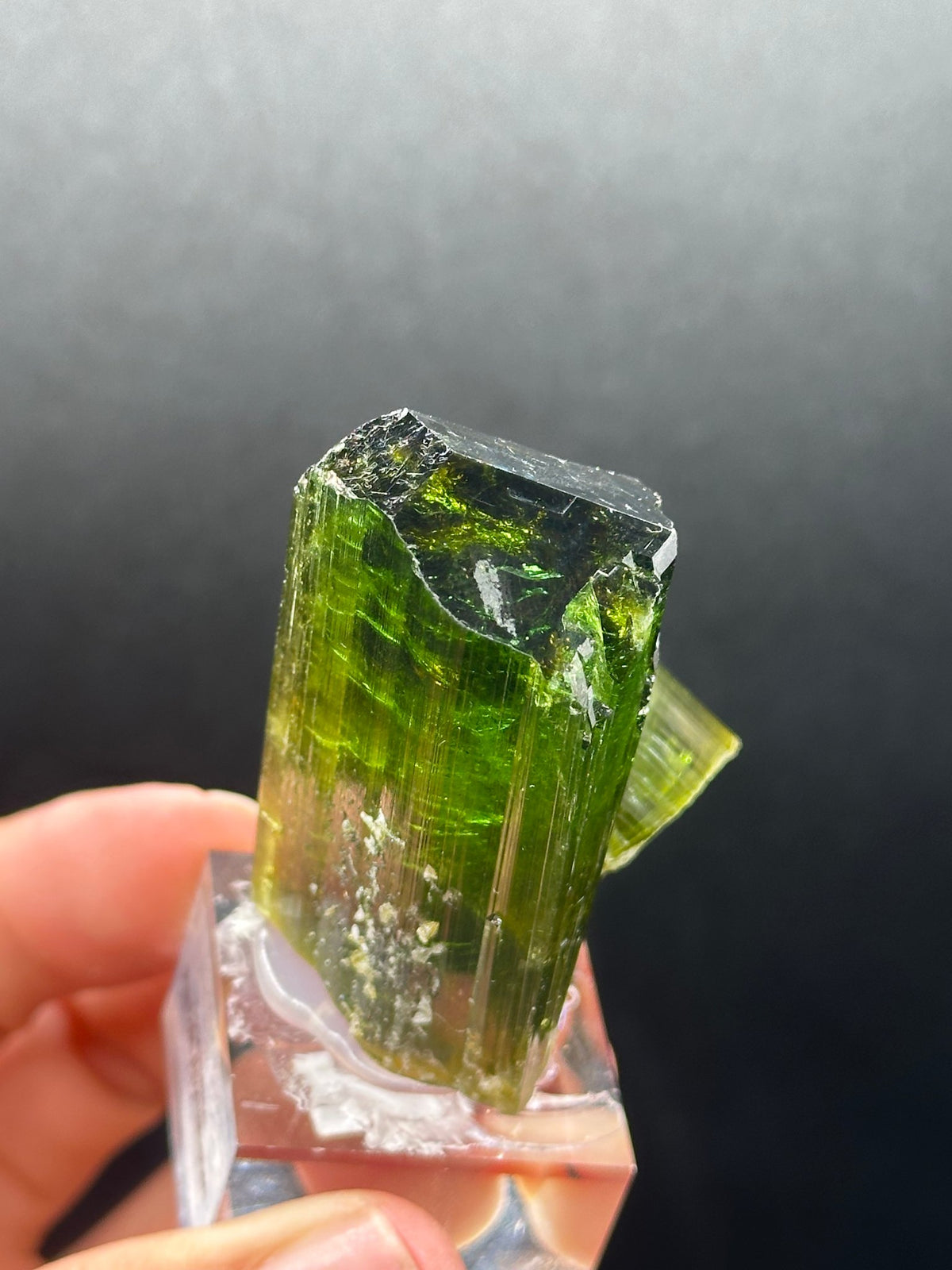 Forest-green elbaite tourmaline crystal from the Paprok Mine, Nuristan, Afghanistan, close-up detail