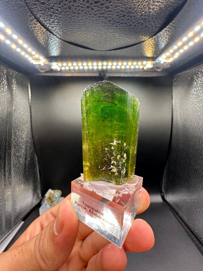 Forest-green elbaite tourmaline crystal from the Paprok Mine, Nuristan, Afghanistan, top view