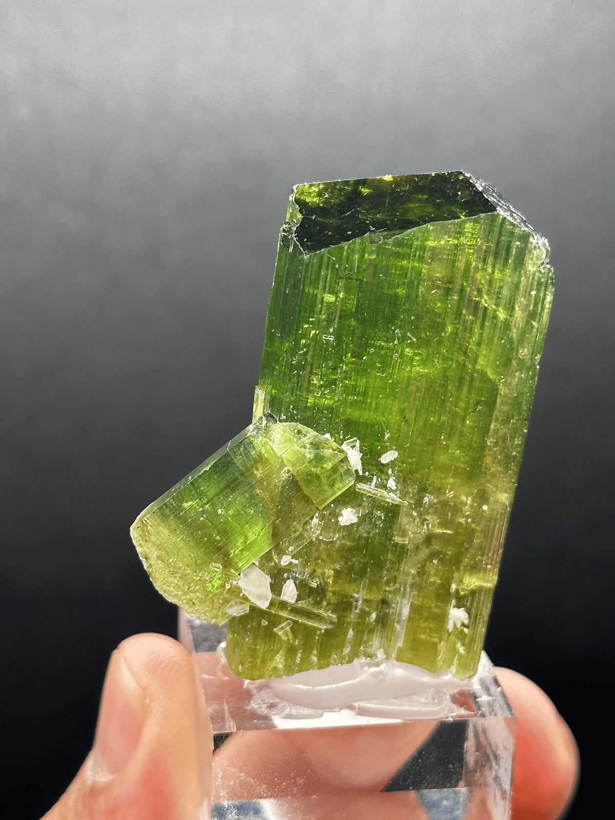 Forest-green elbaite tourmaline crystal from the Paprok Mine, Nuristan, Afghanistan, alternate angle