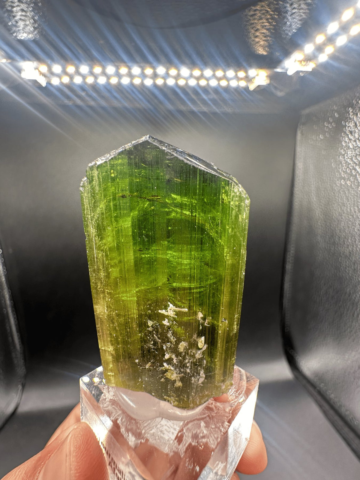 Forest-green elbaite tourmaline crystal from the Paprok Mine, Nuristan, Afghanistan, view 8