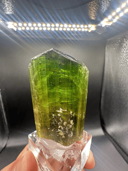 Forest-green elbaite tourmaline crystal from the Paprok Mine, Nuristan, Afghanistan, view 8