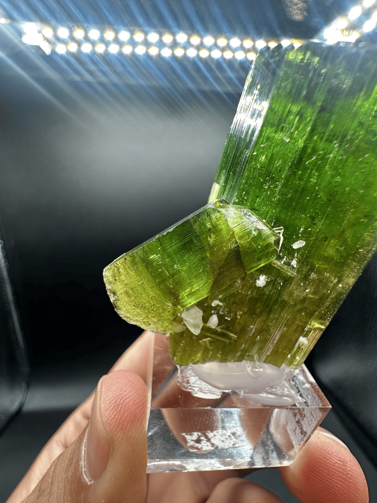 Forest-green elbaite tourmaline crystal from the Paprok Mine, Nuristan, Afghanistan, view 9