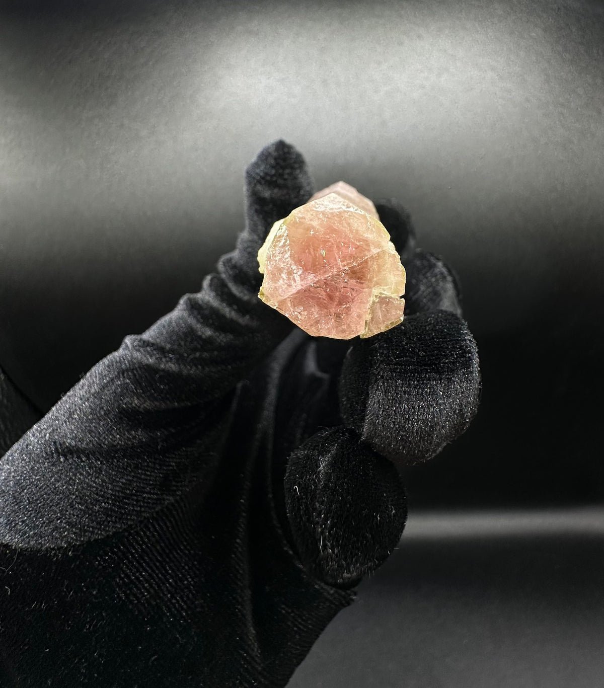 Raw tri-color watermelon tourmaline crystal in green and peach from Pakistan, close-up detail