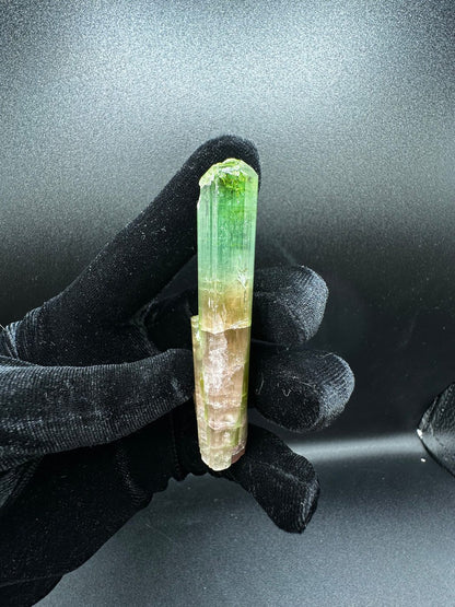 Raw tri-color watermelon tourmaline crystal in green and peach from Pakistan, top view