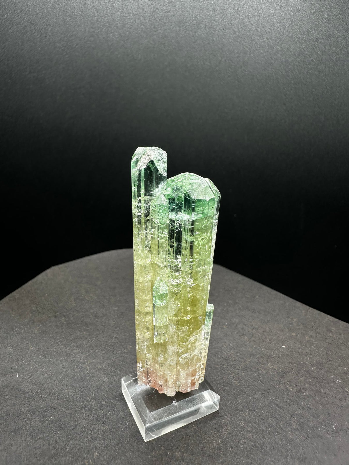 Multi-column watermelon tourmaline cluster in green, yellow and pink, on a stand, Pakistan, close-up detail