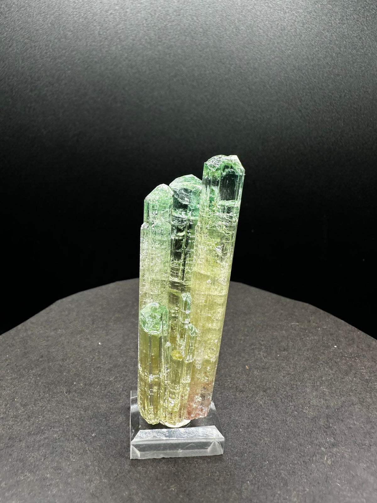 Multi-column watermelon tourmaline cluster in green, yellow and pink, on a stand, Pakistan, top view