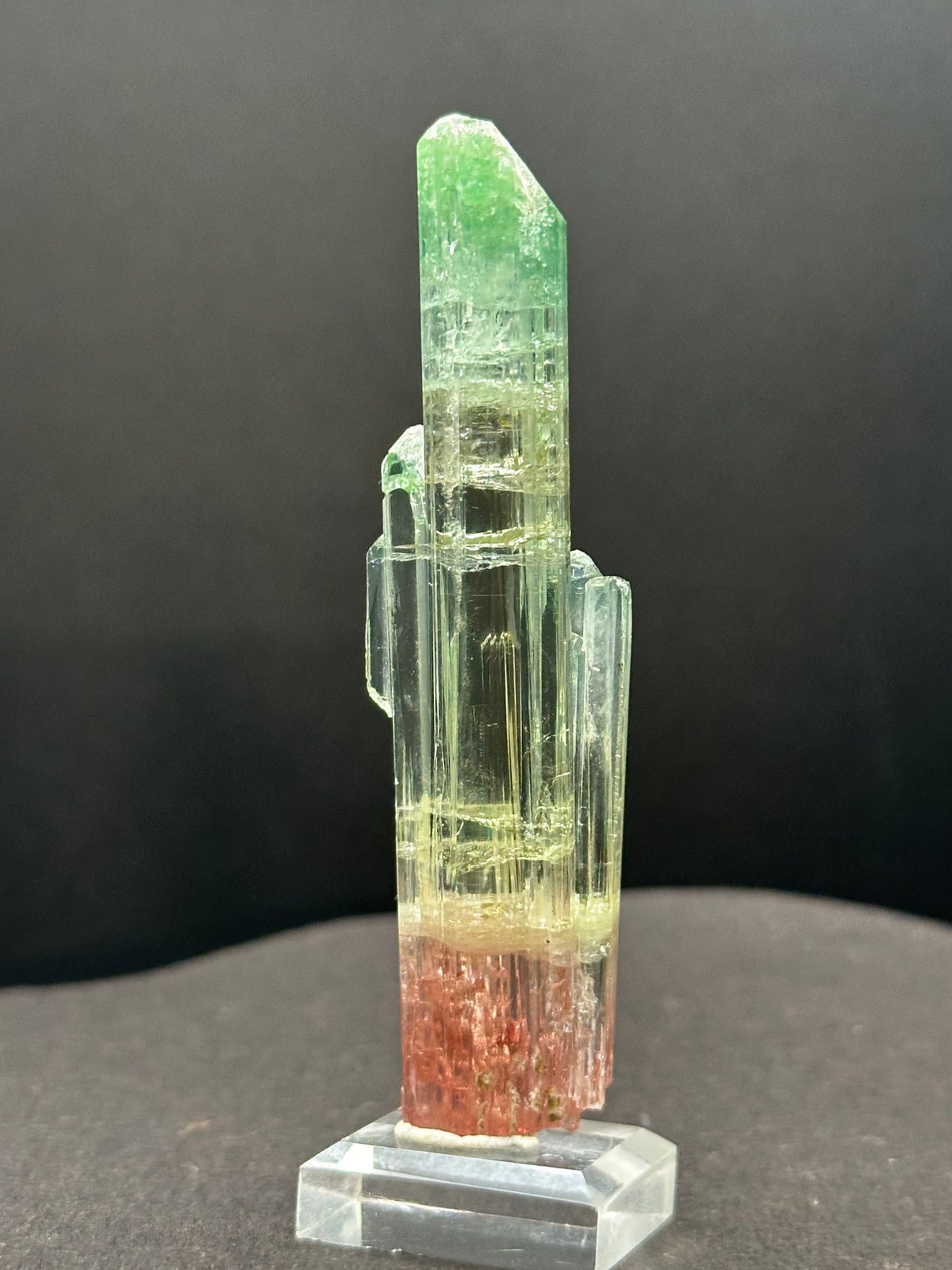 Tri-color watermelon tourmaline crystal zoned green, yellow and red, on a stand, Pakistan