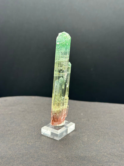 Tri-color watermelon tourmaline crystal zoned green, yellow and red, on a stand, Pakistan, reverse side