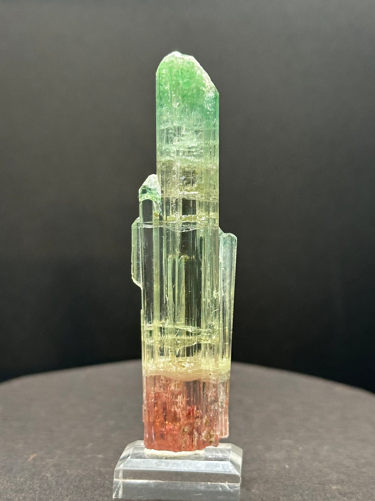 Tri-color watermelon tourmaline crystal zoned green, yellow and red, on a stand, Pakistan, angled view