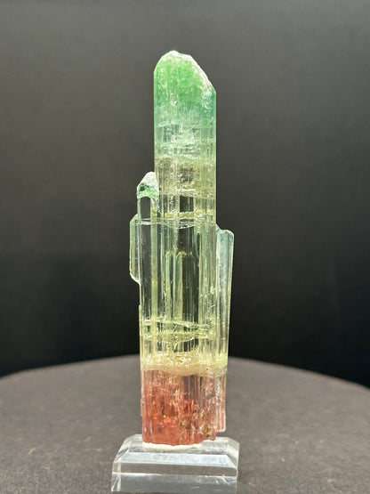 Tri-color watermelon tourmaline crystal zoned green, yellow and red, on a stand, Pakistan, angled view