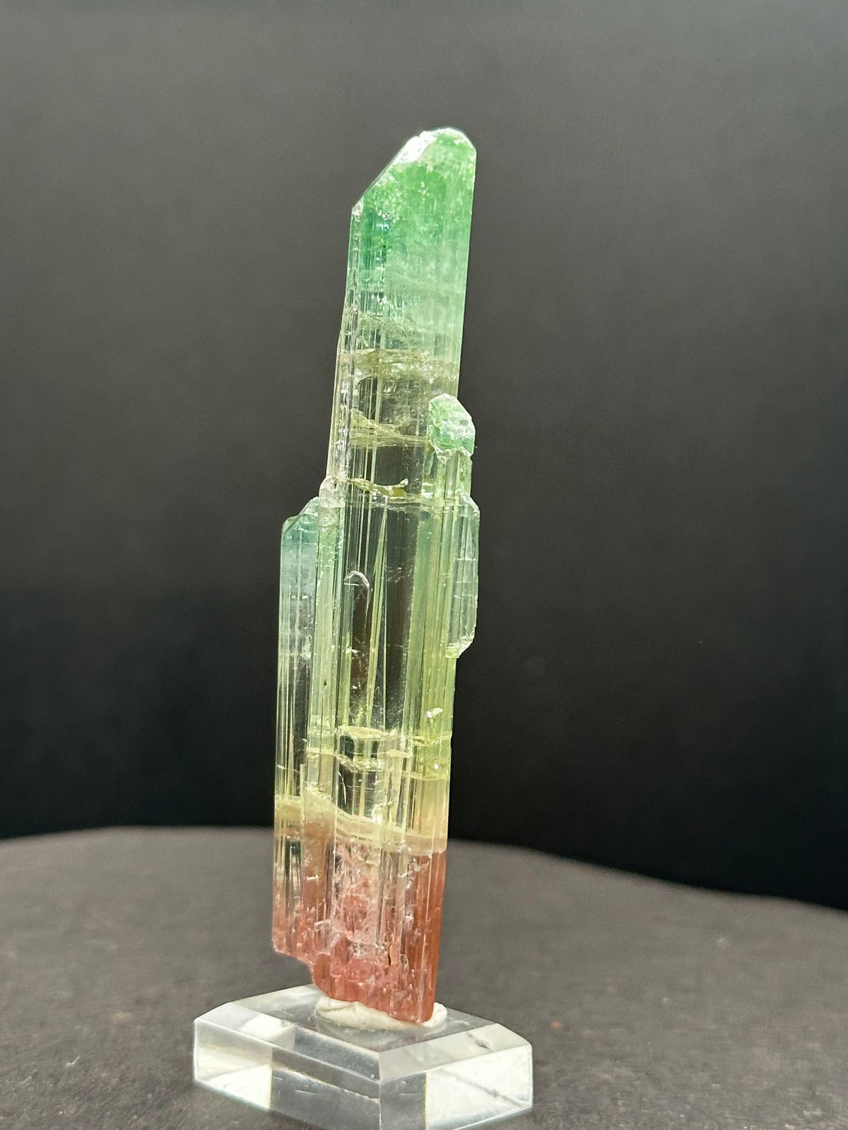 Tri-color watermelon tourmaline crystal zoned green, yellow and red, on a stand, Pakistan, close-up detail