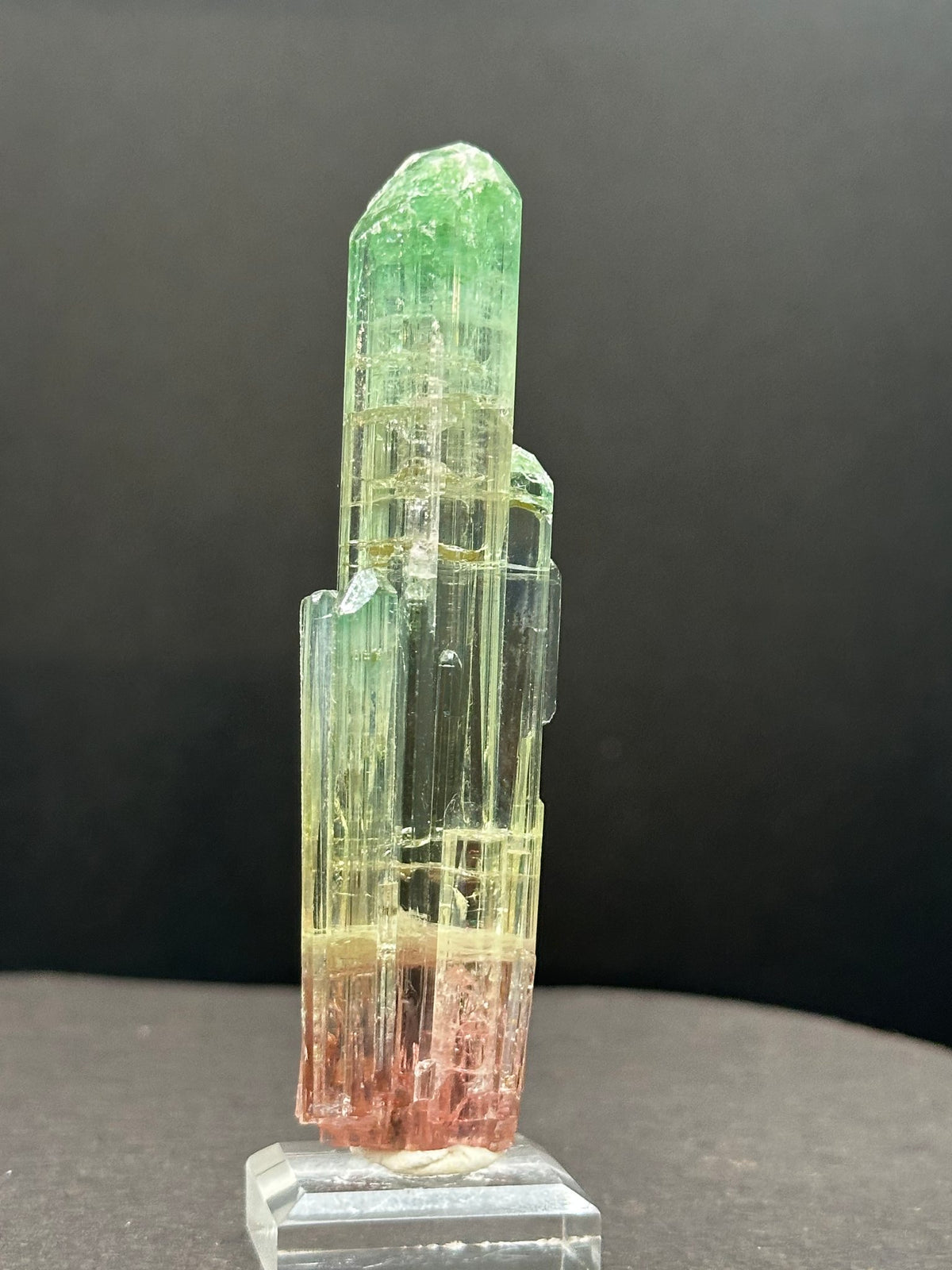 Tri-color watermelon tourmaline crystal zoned green, yellow and red, on a stand, Pakistan, top view
