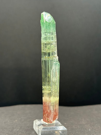 Tri-color watermelon tourmaline crystal zoned green, yellow and red, on a stand, Pakistan, alternate angle