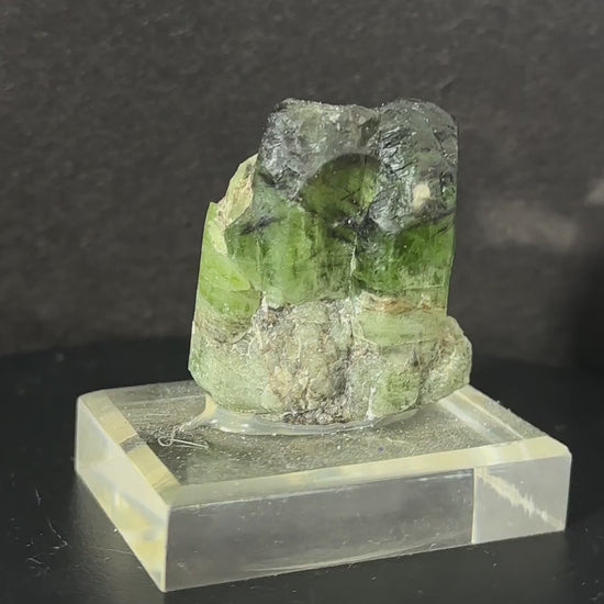 Peridot Crystal with Rutile and Magnetite Specimen, view 4