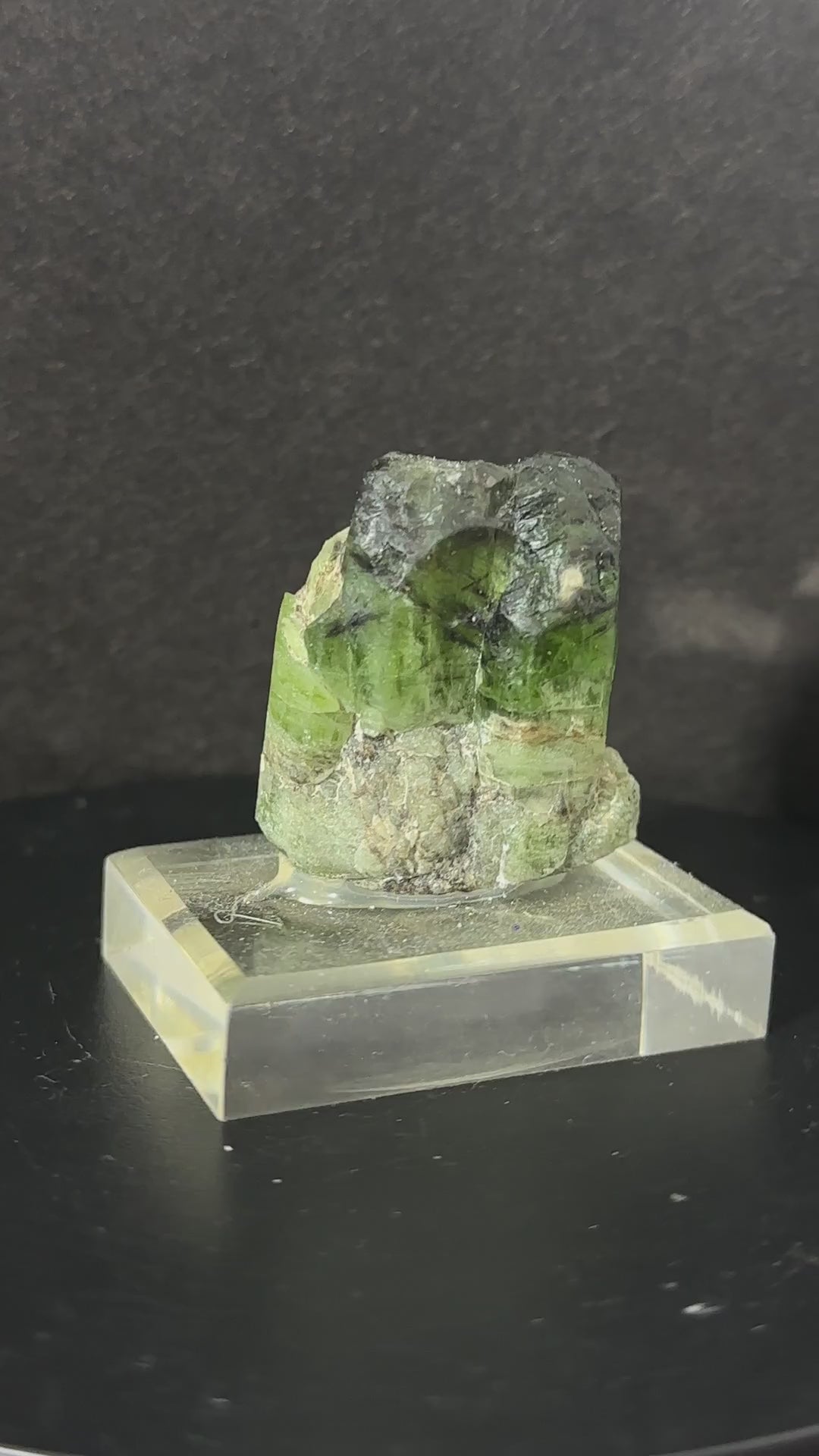 Peridot Crystal with Rutile and Magnetite Specimen, view 4
