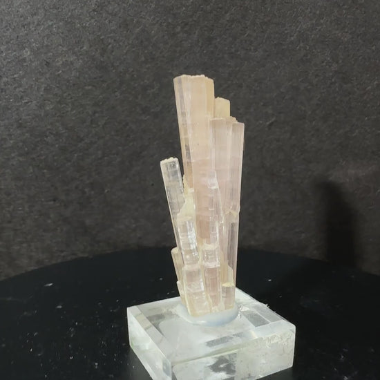 Pink Tourmaline Cluster with Smoky Quartz Specimen, view 9