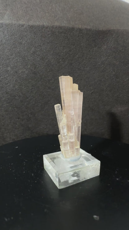 Pink Tourmaline Cluster with Smoky Quartz Specimen