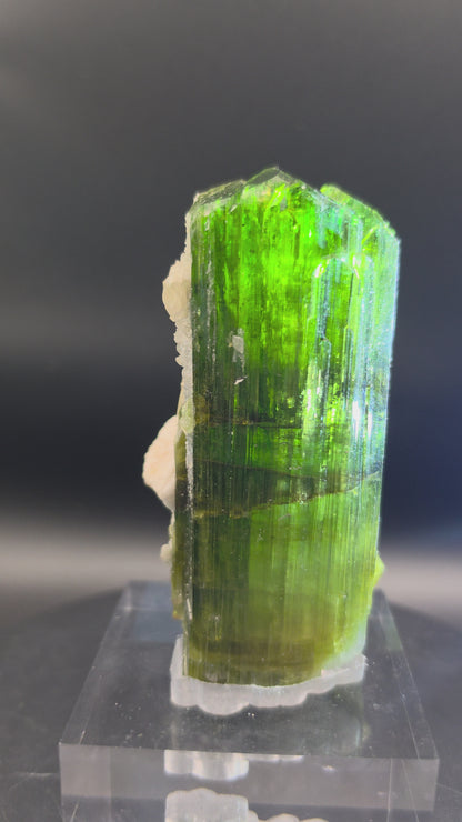 Tourmaline specimen