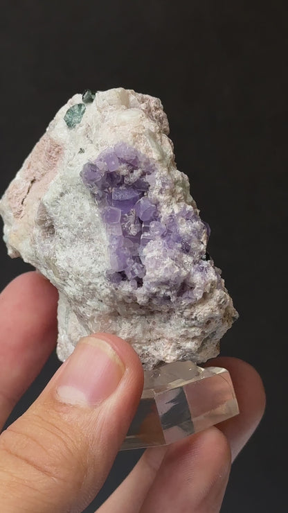 Purple Apatite with Blue Tourmaline