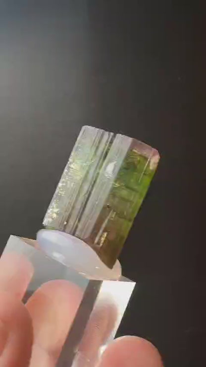 Paprok Watermelon Tourmaline Crystal Afghanistan