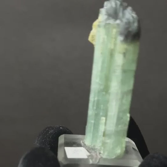 Bicolor Tourmaline Crystal Pair, view 10