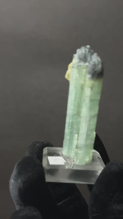 Bicolor Tourmaline Crystal Pair