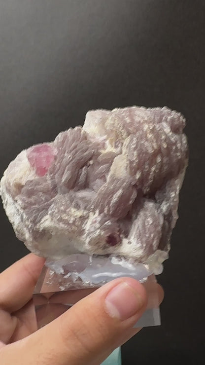 Pink Tourmaline on Lepidolite Matrix