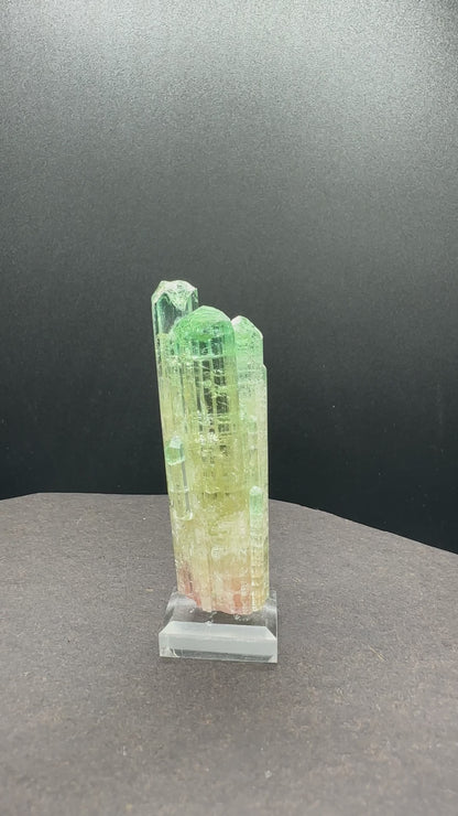 Natural Tri-Color Watermelon Tourmaline Crystal Cluster — Green Yellow Pink Multi-Column Collector Specimen on Stand