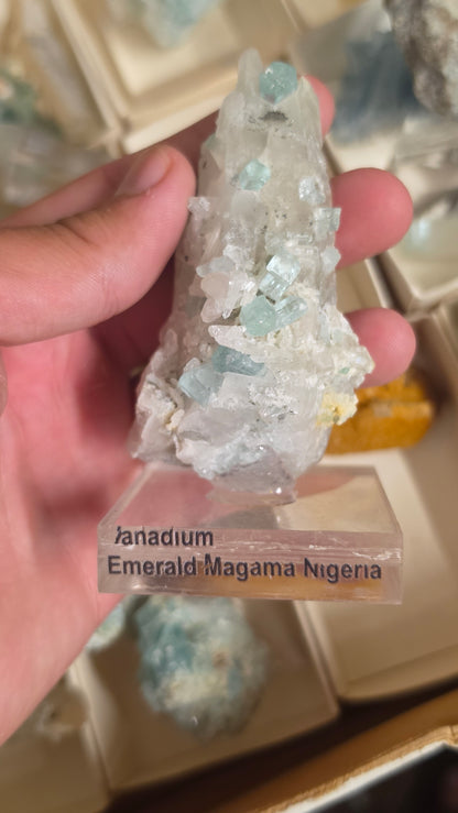 Vanidium emerald