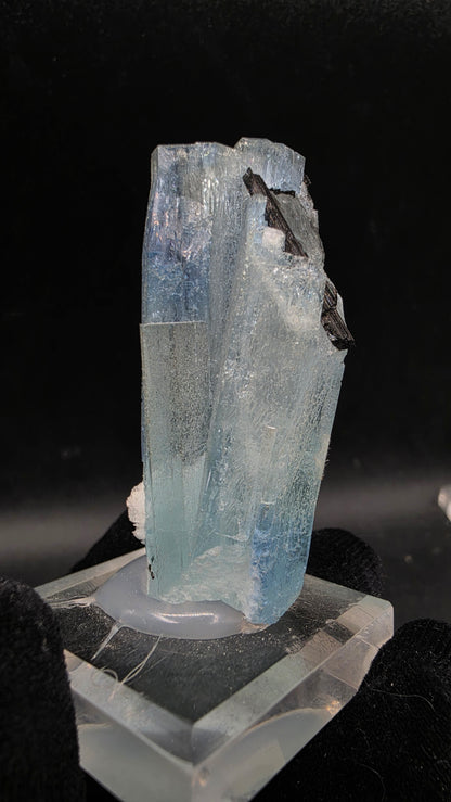 Two-Tone Aquamarine and black tourmaline