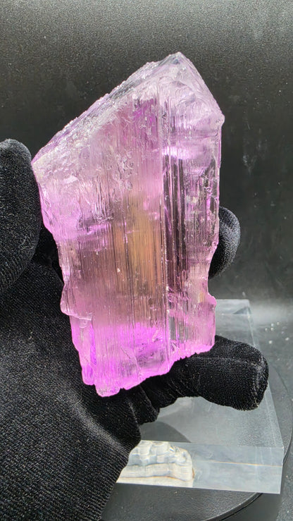 Large Loop-Clean Gemmy Kunzite Crystal — Deep Violet Pink Magenta AAA Collector Gem Specimen