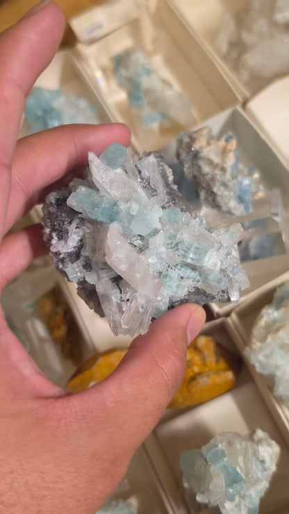Vanidium emerald