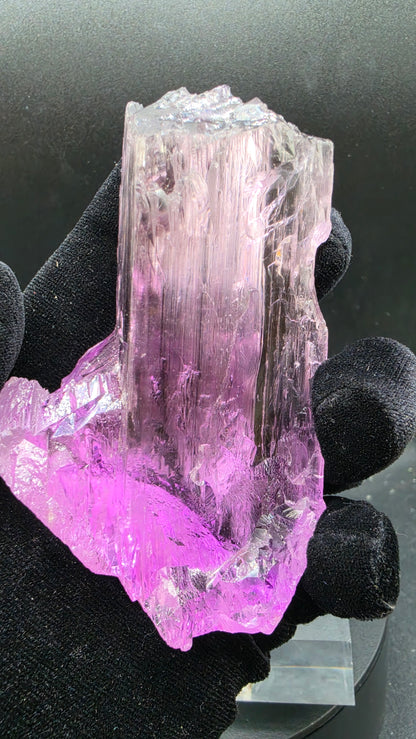 Large Loop-Clean Gemmy Kunzite Crystal — Deep Violet Pink Magenta AAA Collector Gem Specimen
