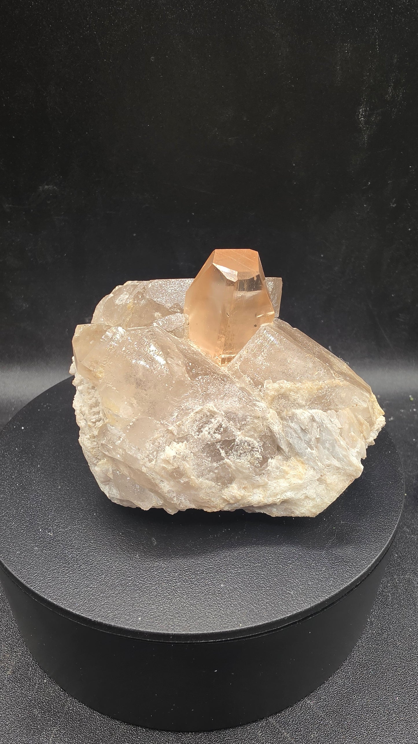 High end collector specimens