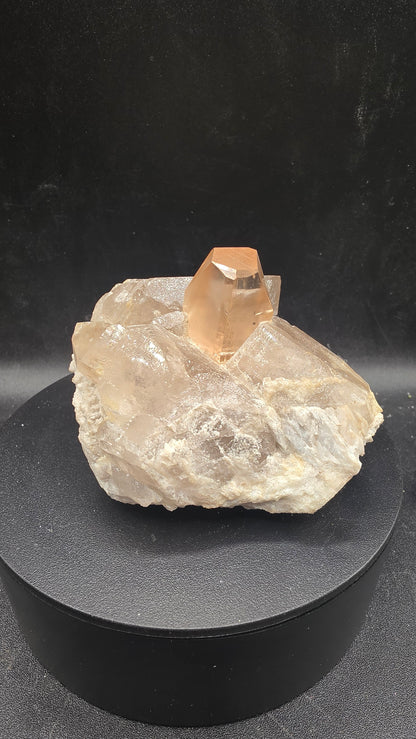 High end collector specimens