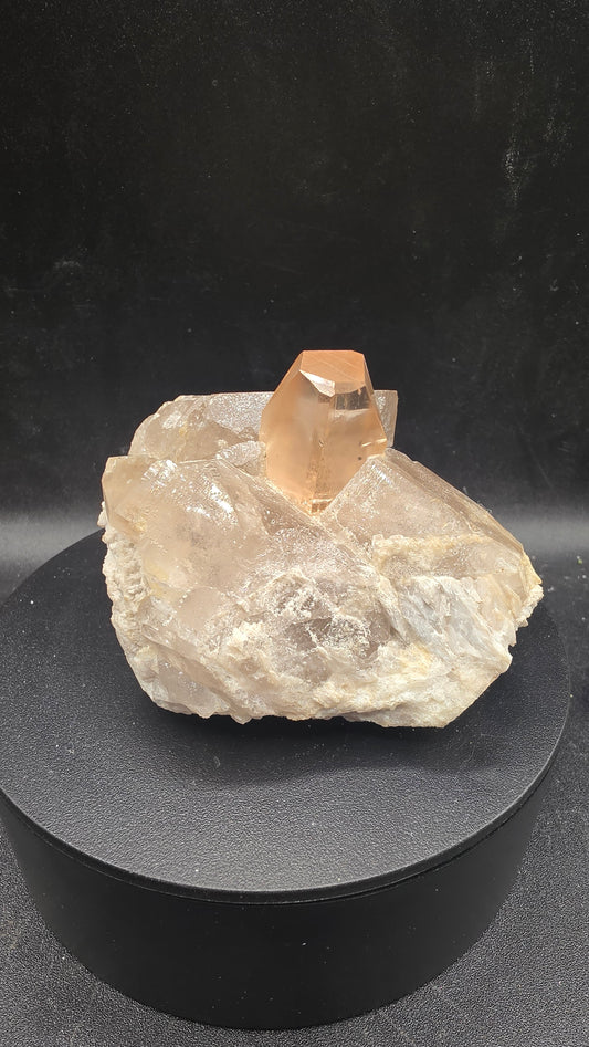 High end collector specimens