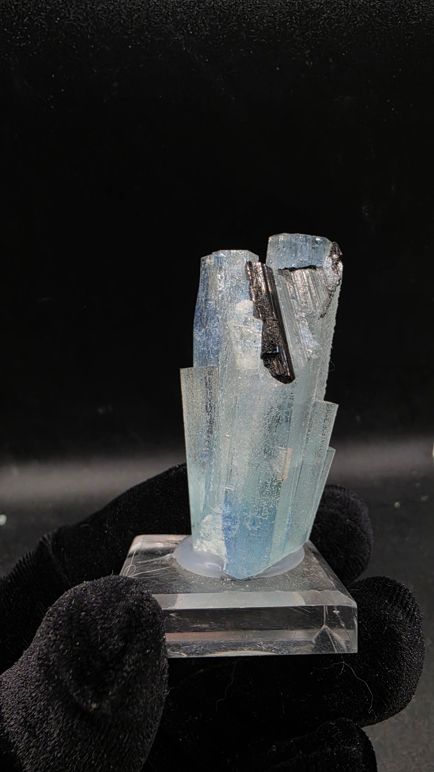 Two-Tone Aquamarine and black tourmaline